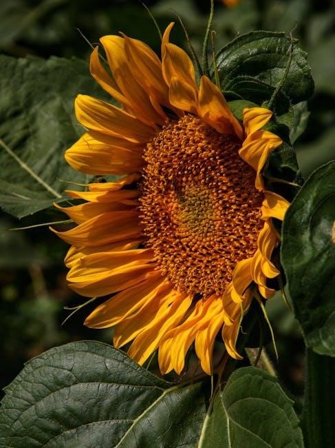 husqvarna leaf blower 150bt manual