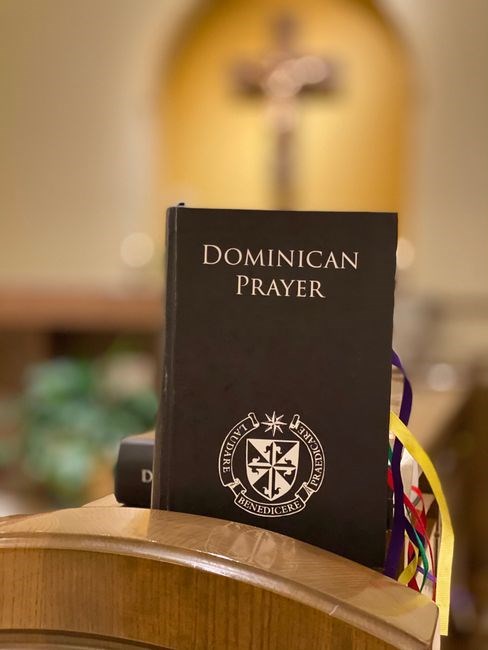don dolindo surrender novena pdf